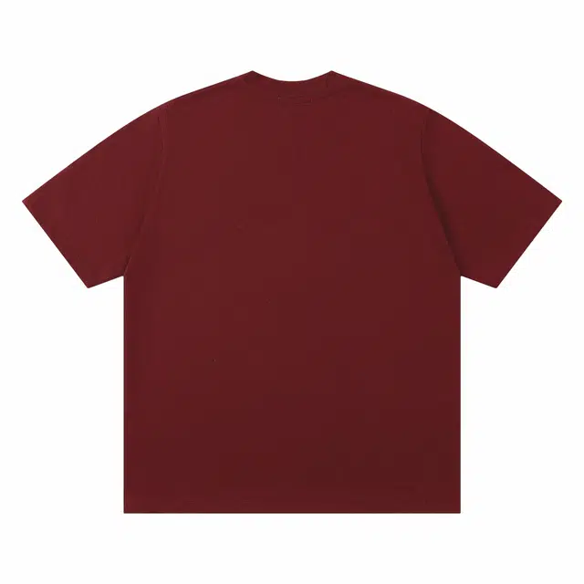 VCNV T