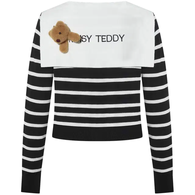 NOISY TEDDY