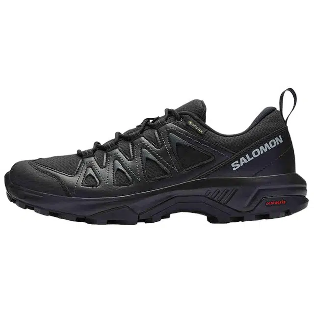 Salomon X Braze GTX