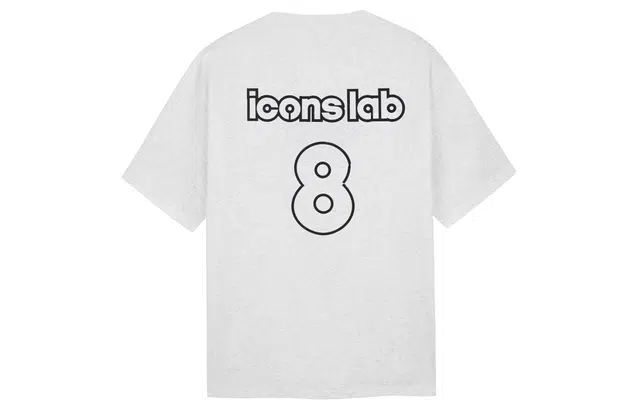 ICONS Lab 8T