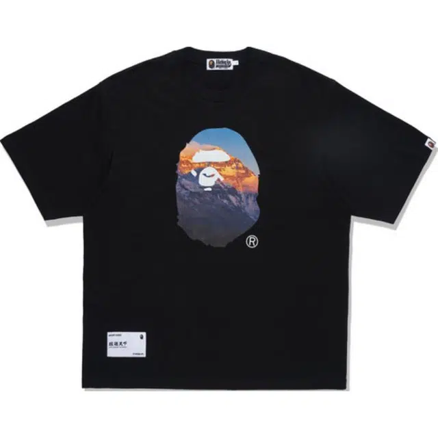 A BATHING APE FW23 T-Shirt