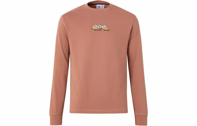 adidas originals City Skate Long Sleeve Tee T