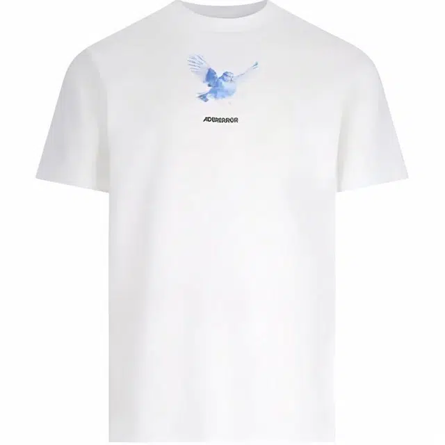 ADER ERROR T