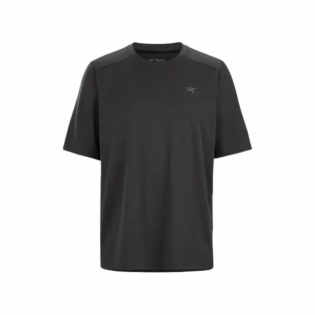 Arcteryx LogoT -black