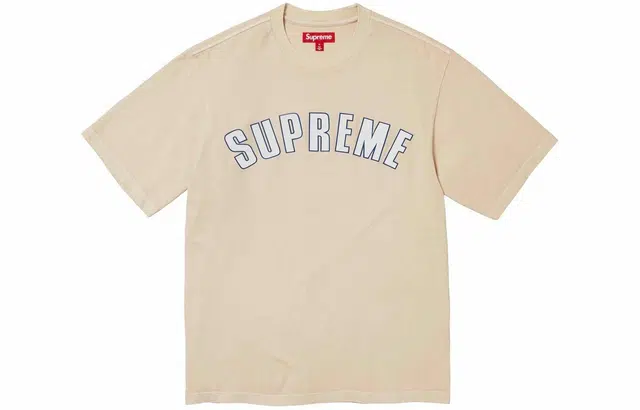 Supreme SS24 WEEK3 CRACKED ARC SS TOP T