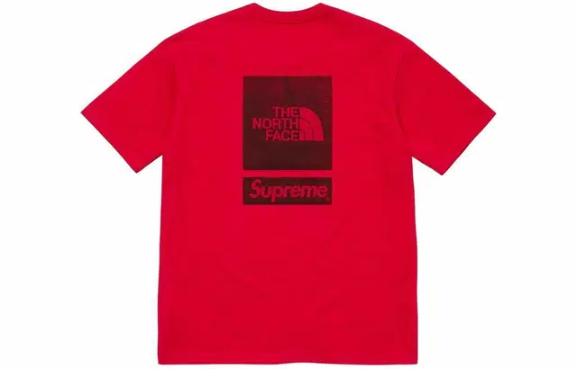 Supreme x The North Face S/S Top