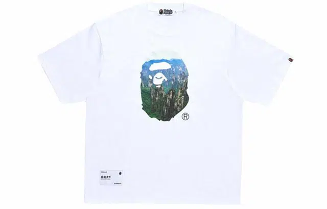 A BATHING APE FW23T