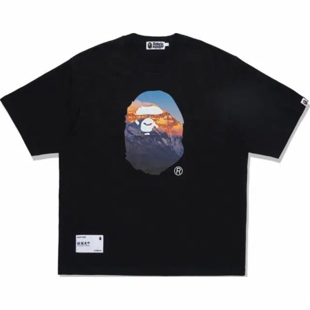 A BATHING APE FW23T