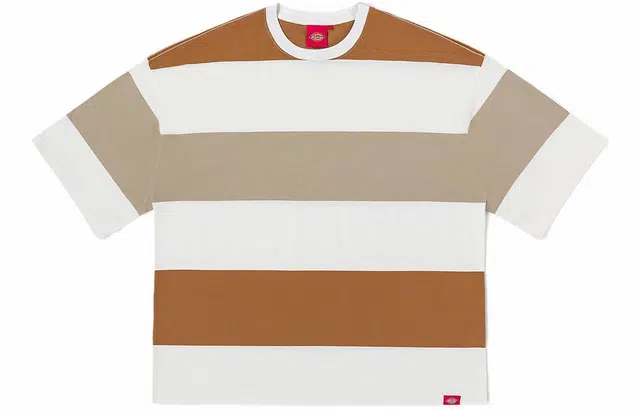 Dickies Striped Loose Fit T-Shirt