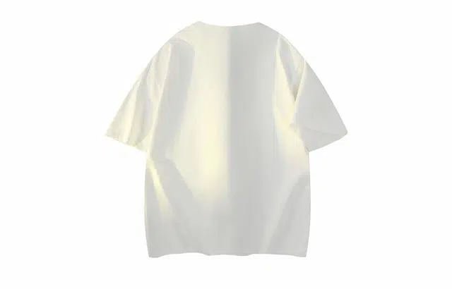 PAEFA T