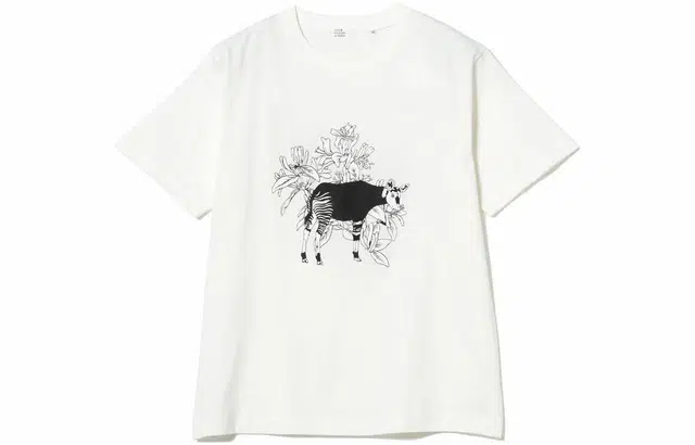 beams T