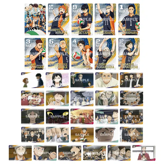 BANDAI TV02 IP202