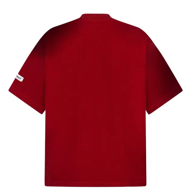 PAINT STAIN T