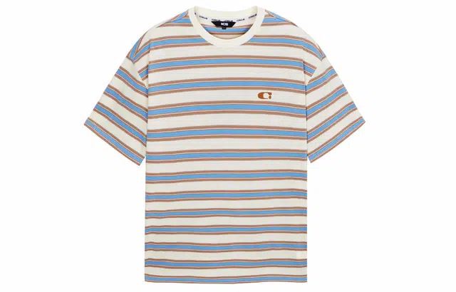 ICONS Lab T