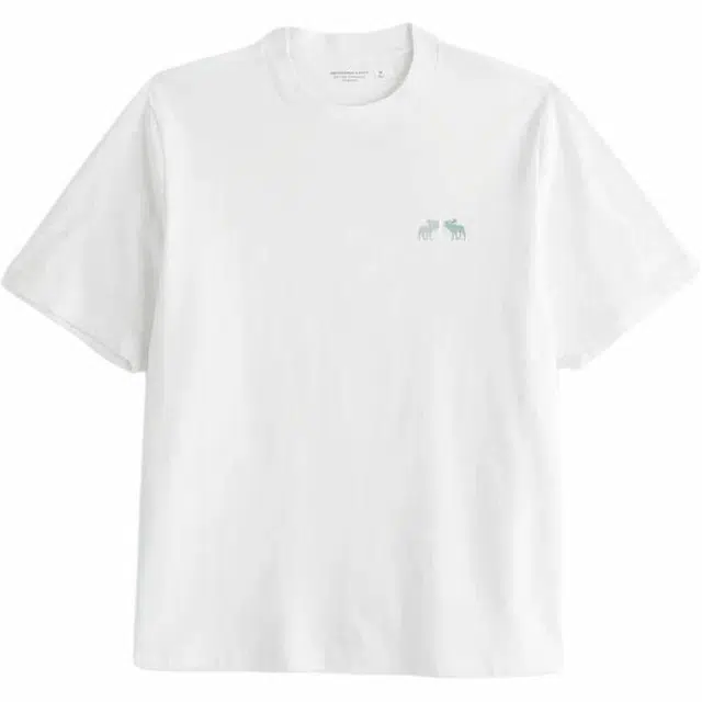 AbercrombieFitch T