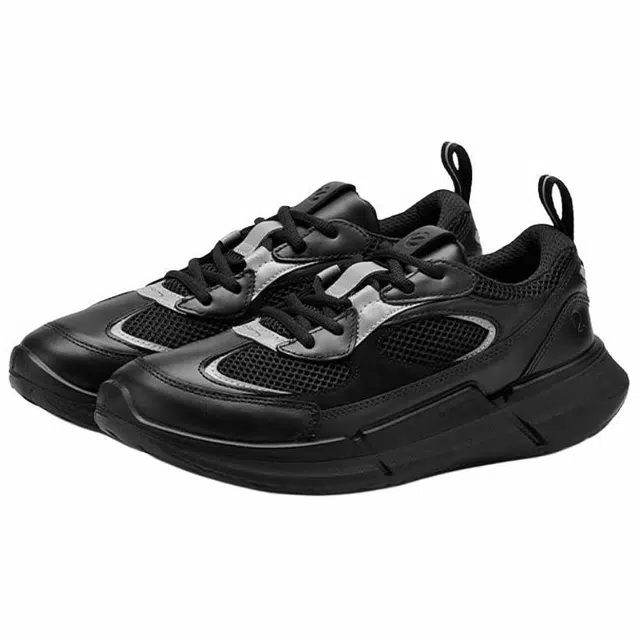 ecco 2.2