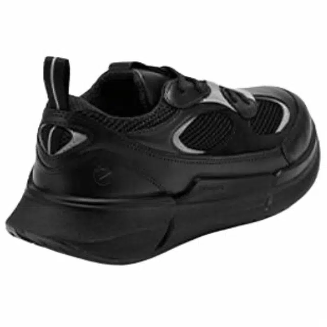 ecco 2.2