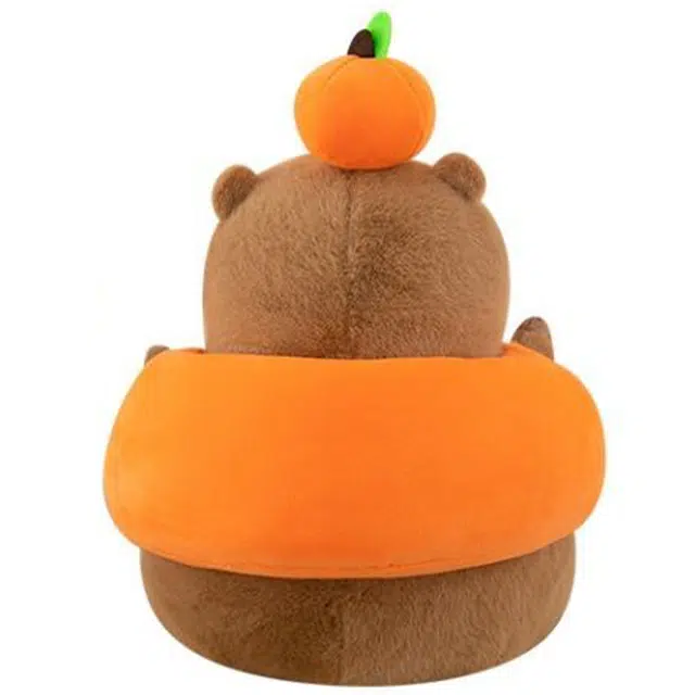 23cm35cm
