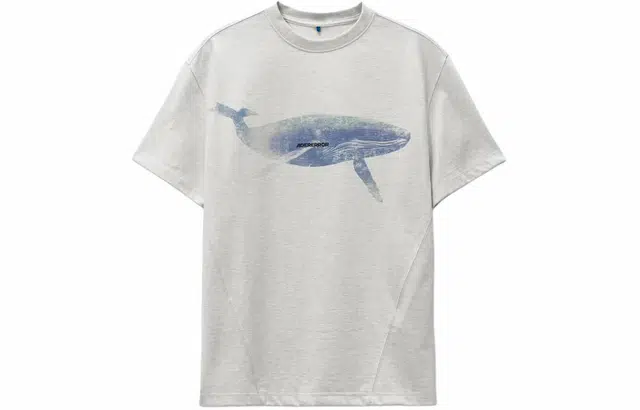 ADER ERROR T