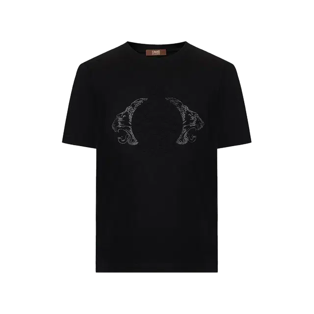 Cavalli Class T