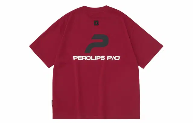 PCLP P T
