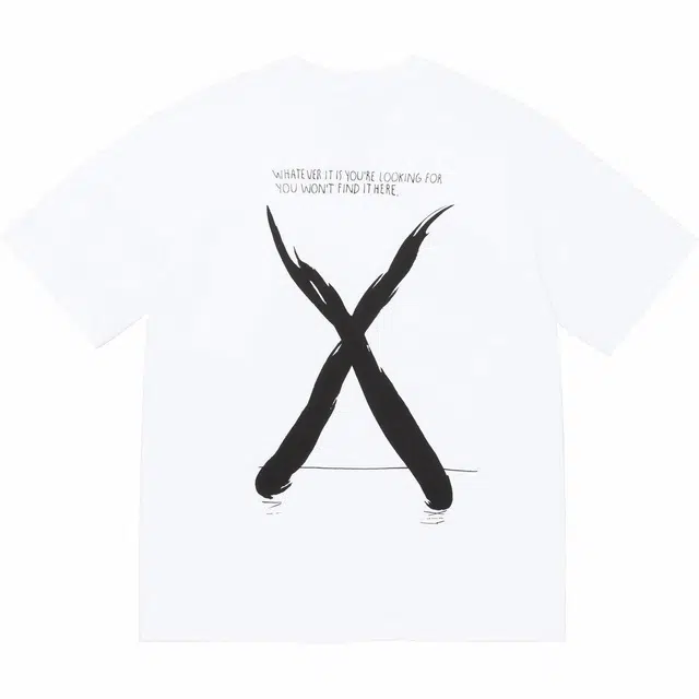 Supreme x THE NORTH FACE FW24 WEEK9 T