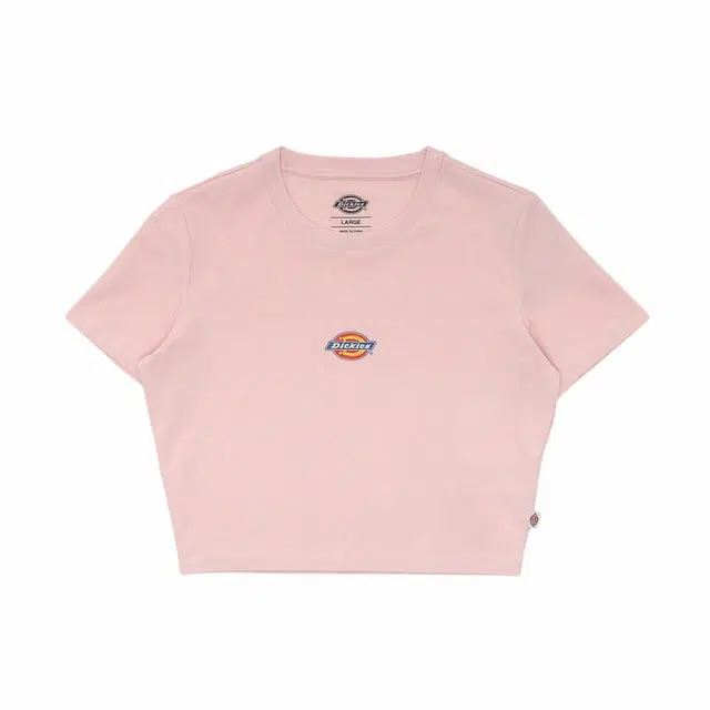 Dickies T DK012314B80