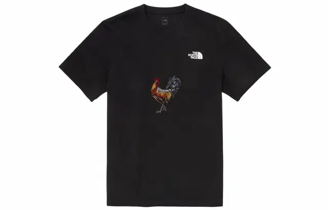 THE NORTH FACE T