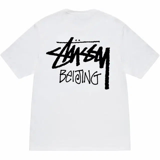Stussy FW24 2024 T