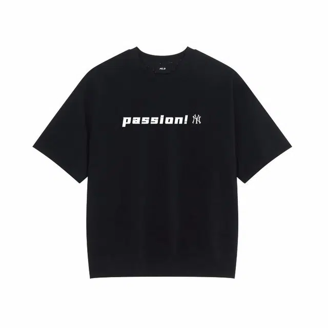 MLB passion logoT