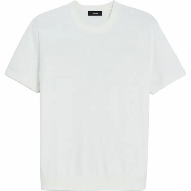 THEORY T