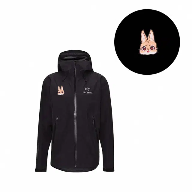 Arcteryx logo