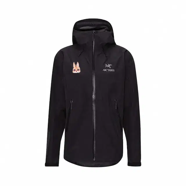 Arcteryx logo