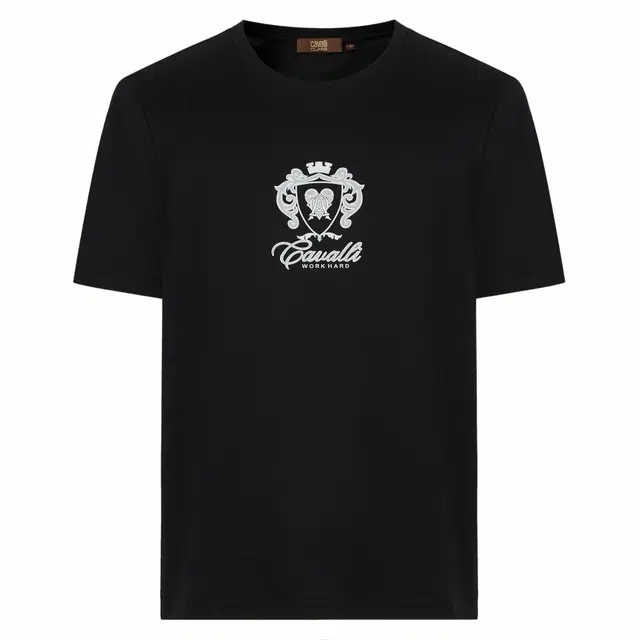 Cavalli Class T