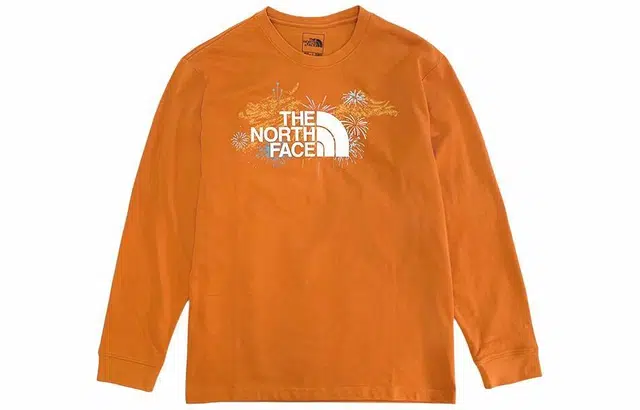THE NORTH FACE Logo T