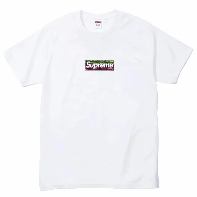 Supreme LA Relief Box Logo Tee White