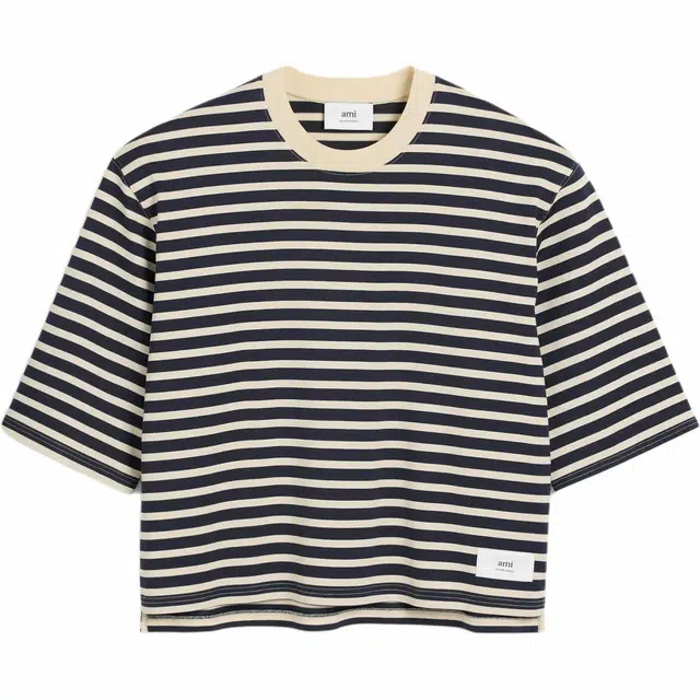 AMIPARIS T