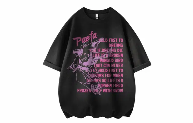 PAEFA LogoT