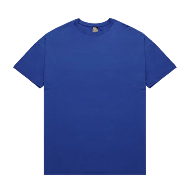 BLUESFLY T