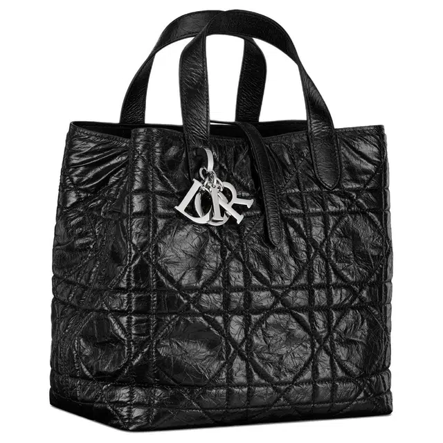 DIOR Toujours