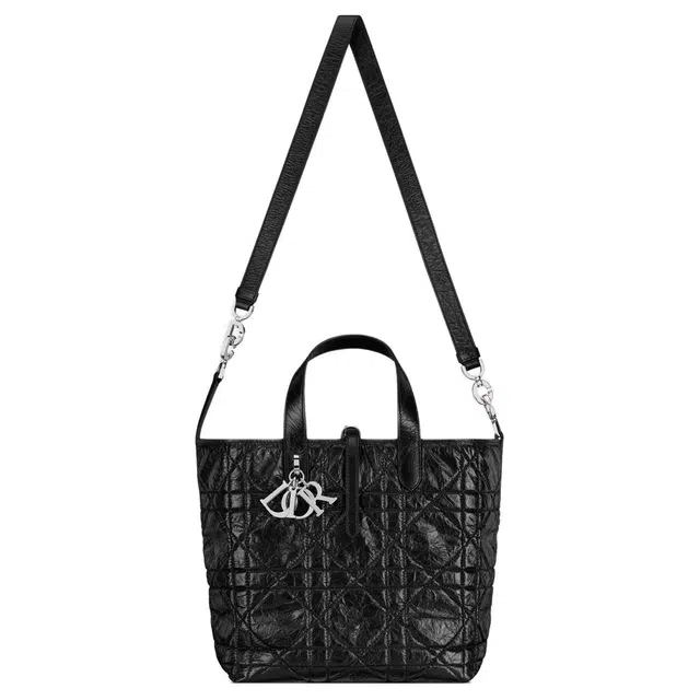 DIOR Toujours