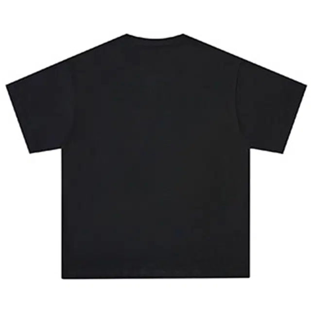 PAINT STAIN T