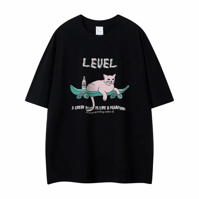 LEVEL T