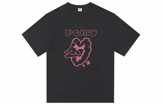 PCMY T