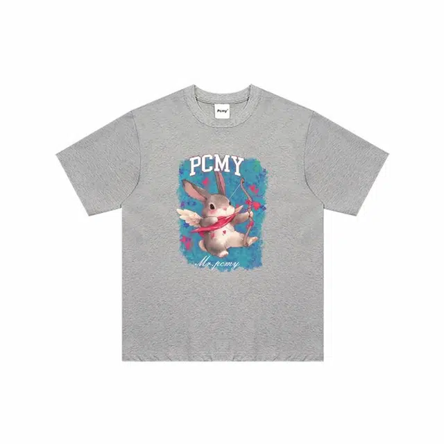 PCMY T