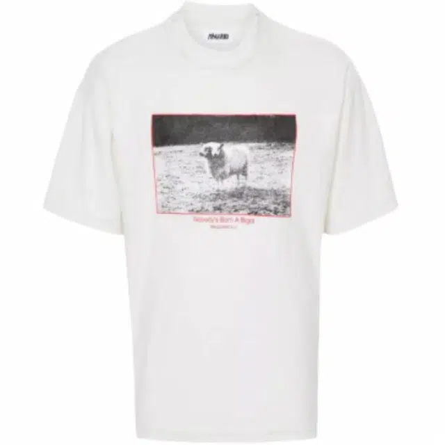 Magliano T