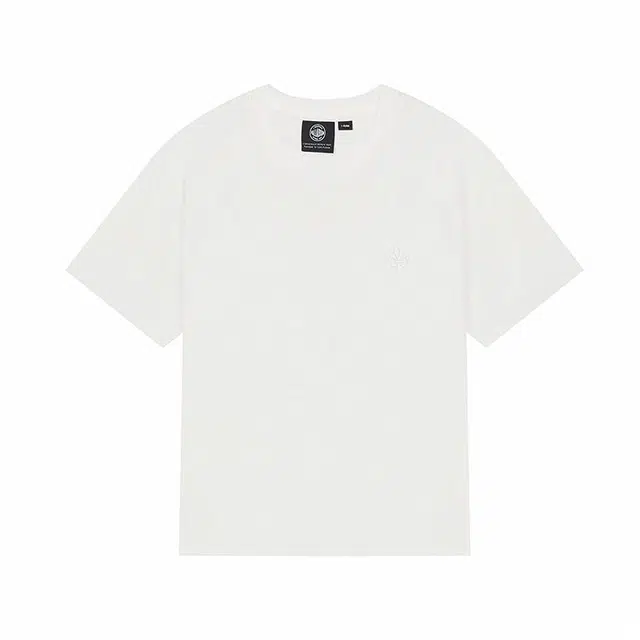 Palladium T