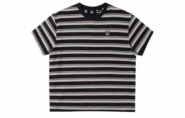 ICONS Lab T