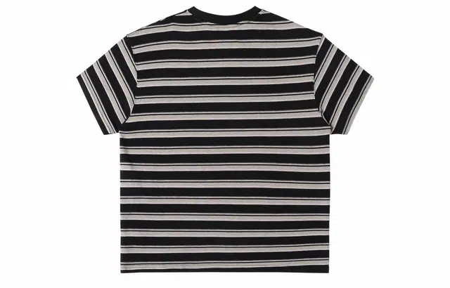 ICONS Lab T