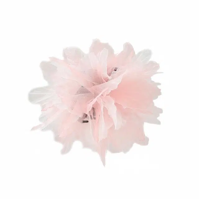 Princess Ballet
